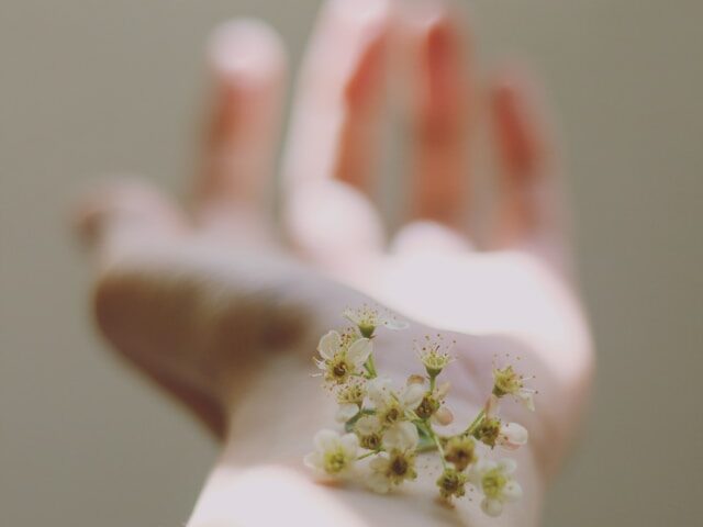 Blume auf der Handfläche